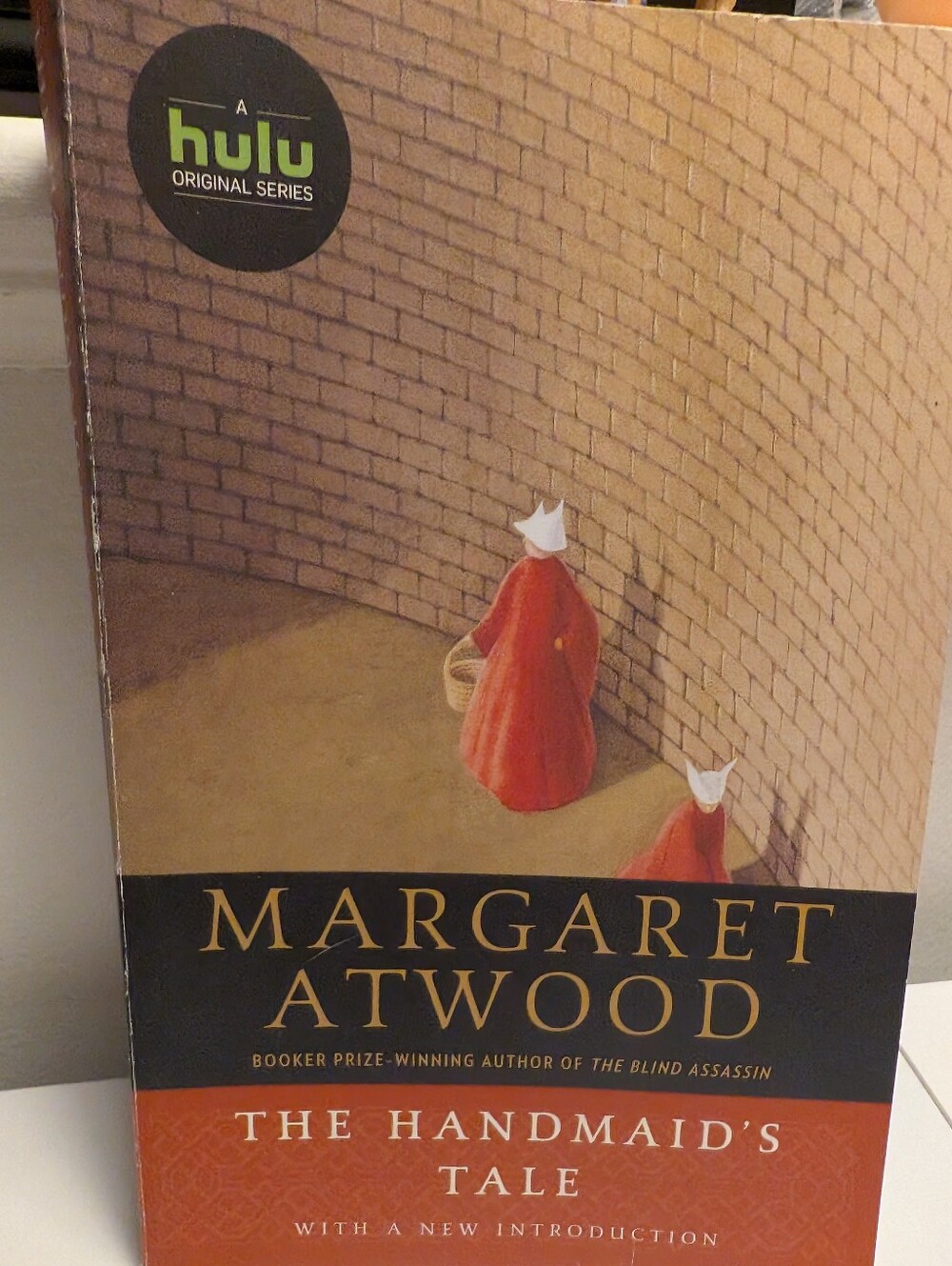 The Handmaid's Tale by Margaret Atwood - Dystopian Classic